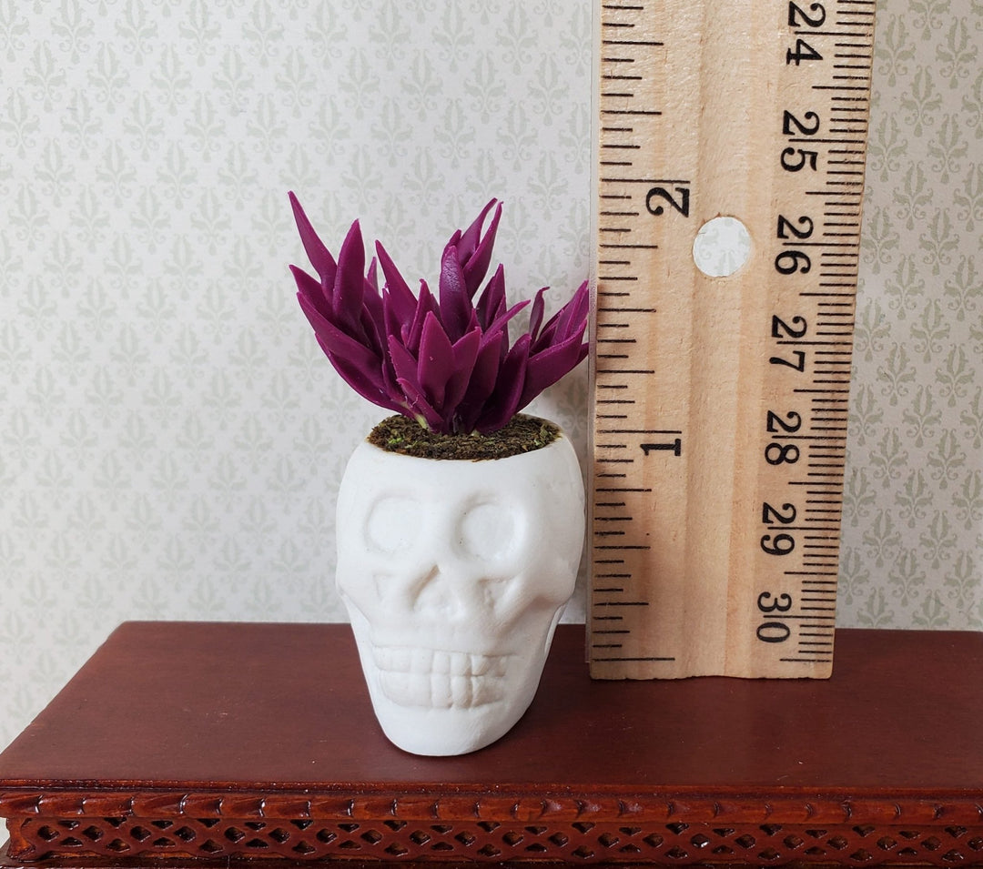 Dollhouse Blood Amaranth in a Large White Skull Planter Pot 1:12 Scale Miniature - MiniatureCrush