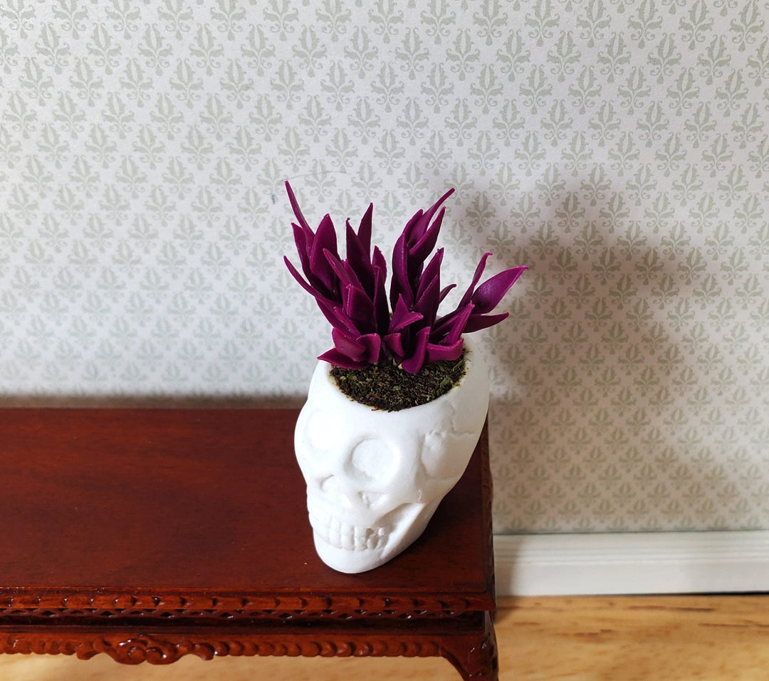 Dollhouse Blood Amaranth in a Large White Skull Planter Pot 1:12 Scale Miniature - MiniatureCrush