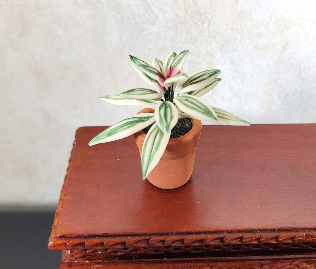 Dollhouse Blushing Bromeliad Variegated Plant in Terra Cotta Pot 1:12 Scale - MiniatureCrush