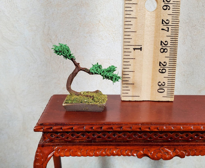 Dollhouse Bonsai Tree Prop Tiny Miniature 1:12 Scale Miniature Handmade - MiniatureCrush