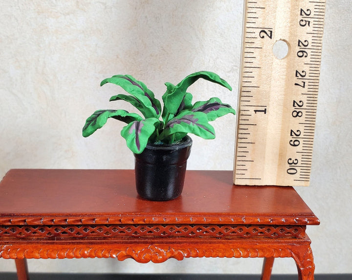 Dollhouse Broadleaf Fern Green Leaves Red Veins in Black Ceramic Pot 1:12 Scale - MiniatureCrush