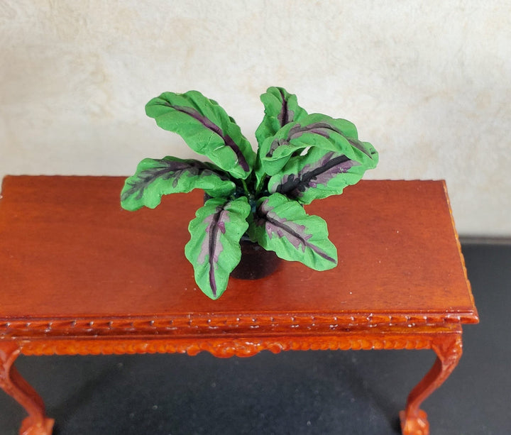 Dollhouse Broadleaf Fern Green Leaves Red Veins in Black Ceramic Pot 1:12 Scale - MiniatureCrush