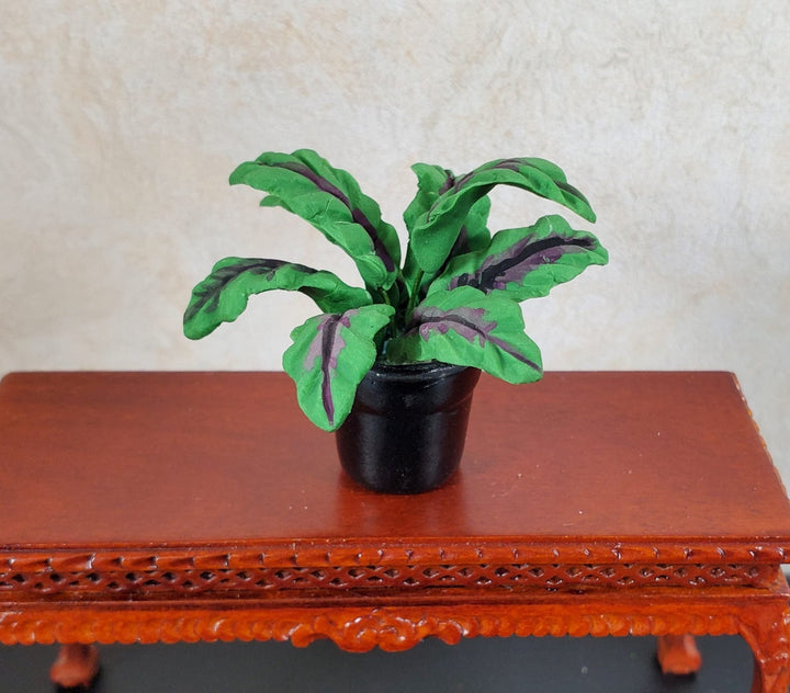 Dollhouse Broadleaf Fern Green Leaves Red Veins in Black Ceramic Pot 1:12 Scale - MiniatureCrush