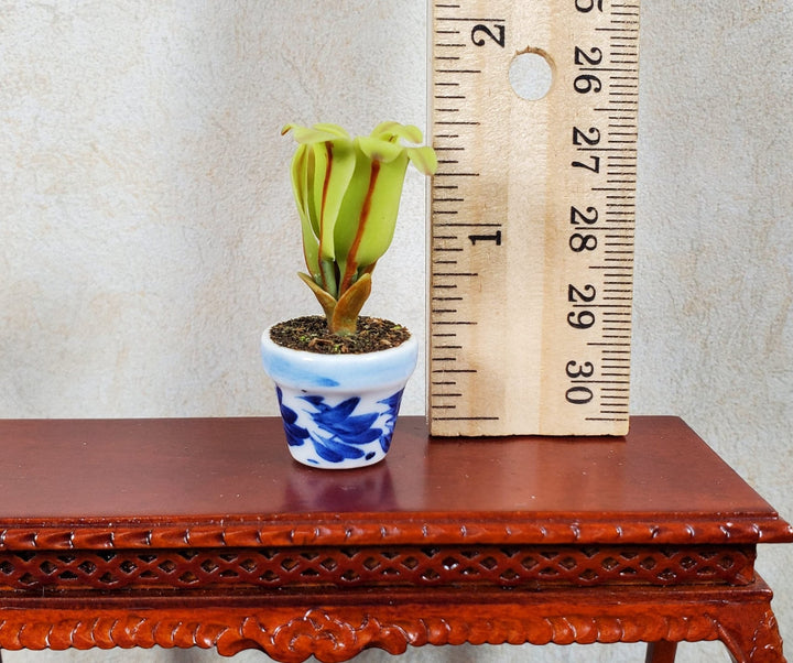 Dollhouse Broadleaf Fern in Blue & White Ceramic Pot 1:12 Scale - MiniatureCrush