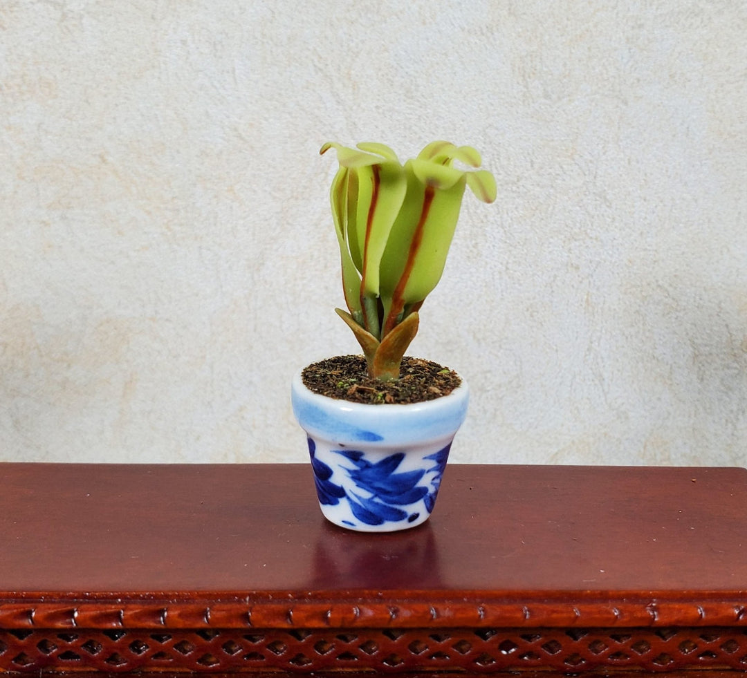 Dollhouse Broadleaf Fern in Blue & White Ceramic Pot 1:12 Scale - MiniatureCrush