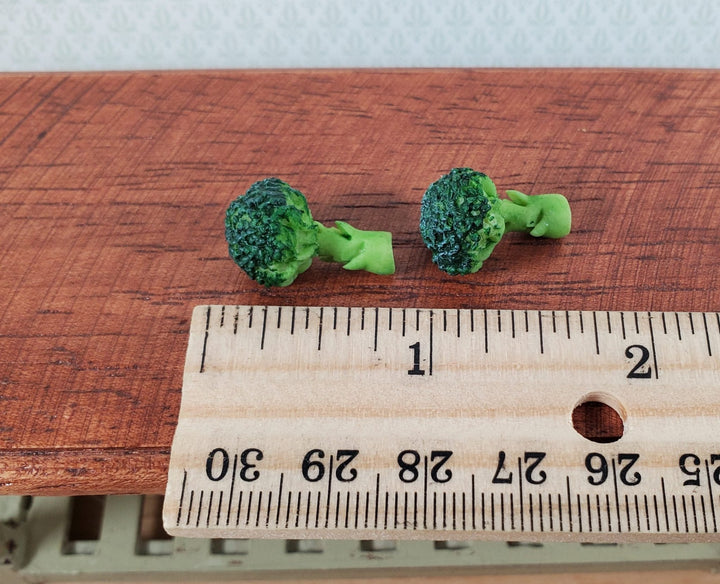 Dollhouse Broccoli Set of 2 1:12 Scale Miniature Kitchen Food Vegetables Grocery - MiniatureCrush