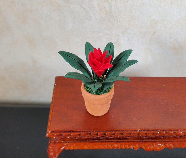 Dollhouse Bromeliad with Red Flower in Terra Cotta Pot 1:12 Scale Miniature - MiniatureCrush