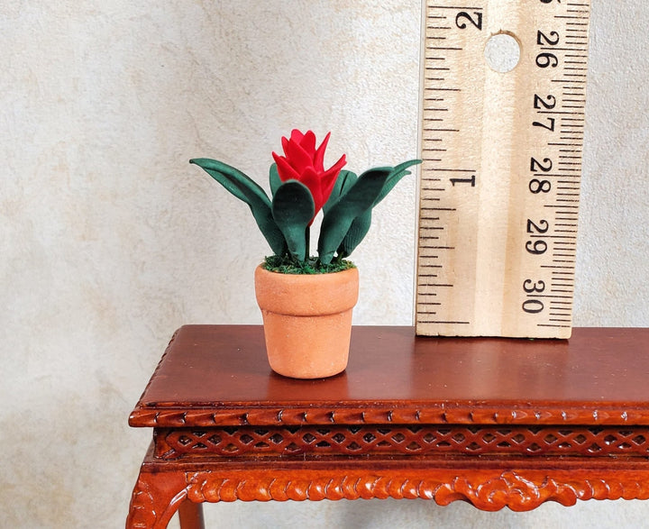 Dollhouse Bromeliad with Red Flower in Terra Cotta Pot 1:12 Scale Miniature - MiniatureCrush