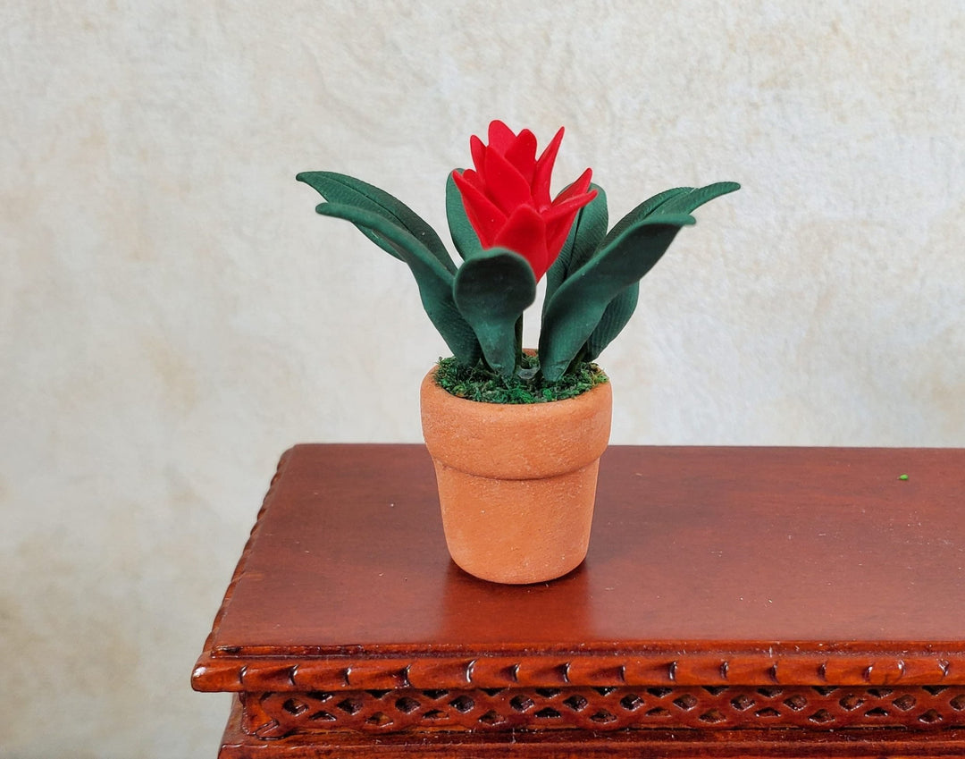 Dollhouse Bromeliad with Red Flower in Terra Cotta Pot 1:12 Scale Miniature - MiniatureCrush