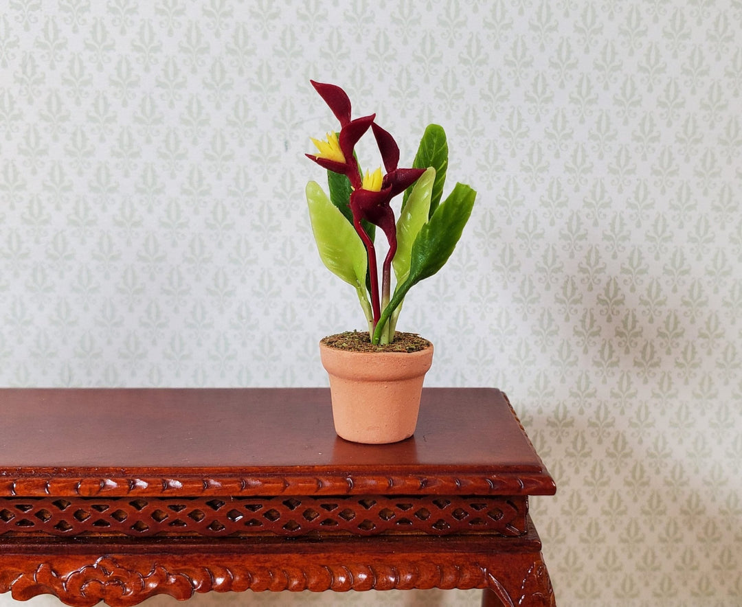 Dollhouse Burgundy and Yellow Heliconia Plant in Terra Cotta Pot 1:12 Scale - MiniatureCrush