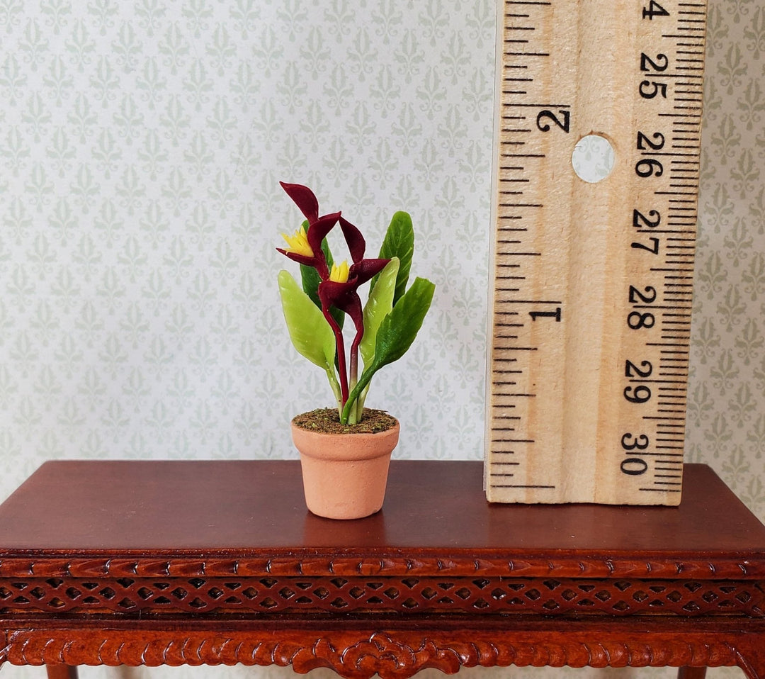 Dollhouse Burgundy and Yellow Heliconia Plant in Terra Cotta Pot 1:12 Scale - MiniatureCrush