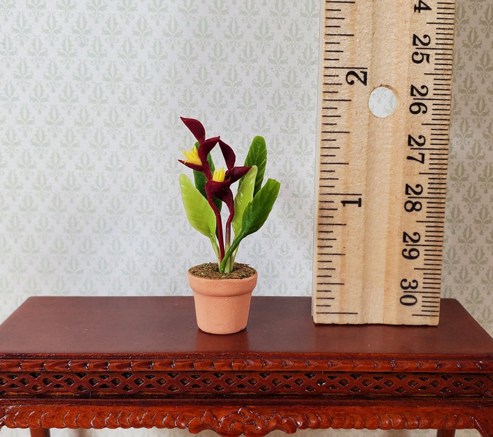 Dollhouse Burgundy and Yellow Heliconia Plant in Terra Cotta Pot 1:12 Scale - MiniatureCrush