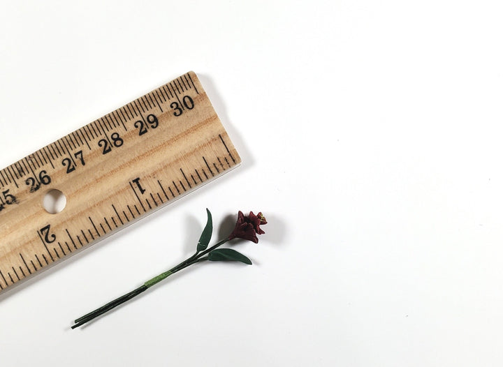 Dollhouse Burgundy Zinnia Single Long Stem with Foliage 1:12 Scale Miniature - MiniatureCrush
