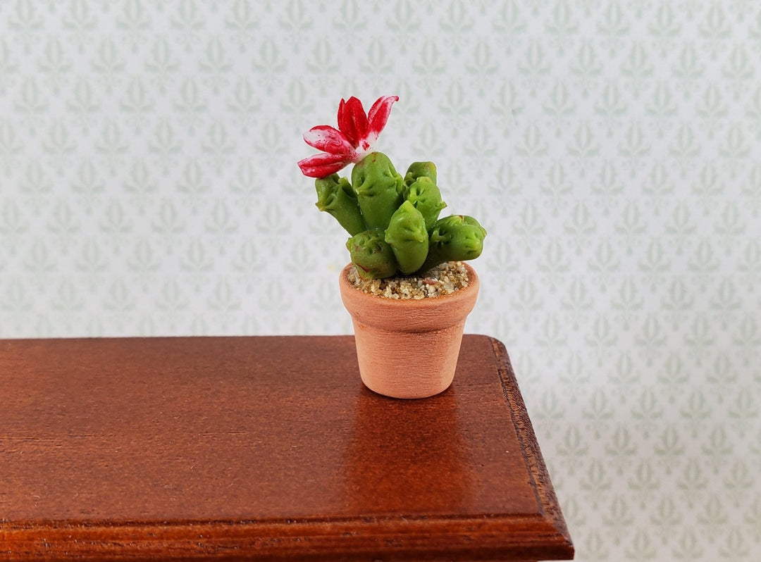 mini indoor cactus plants Dollhouse Cactus Plant with Flower in a Terra Cotta Planter 1:12 Scale Miniature