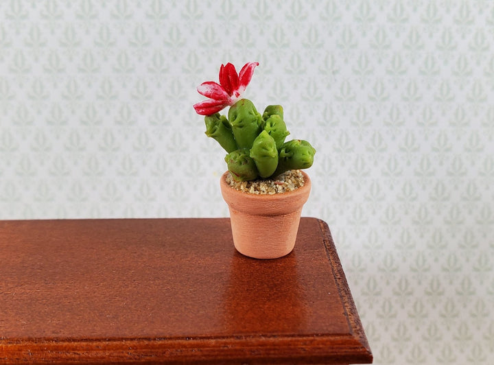 Dollhouse Cactus Plant with Flower in a Terra Cotta Planter 1:12 Scale Miniature - Miniature Crush