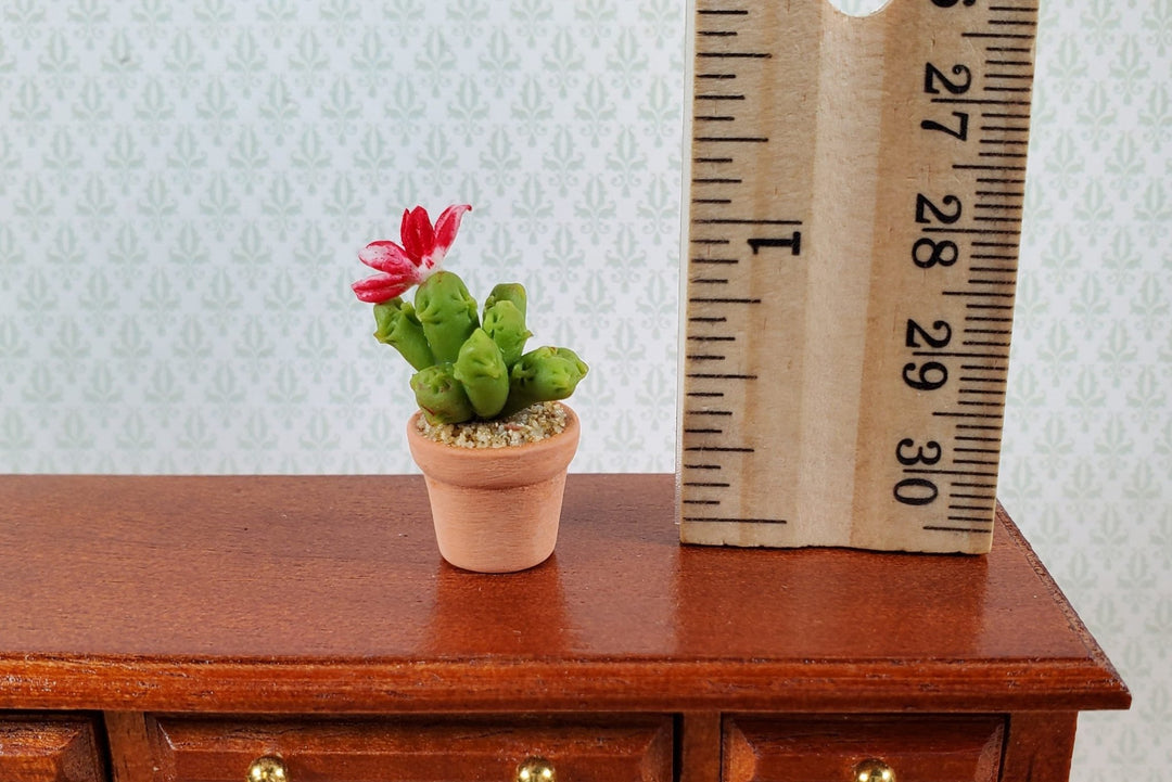 Dollhouse Cactus Plant with Flower in a Terra Cotta Planter 1:12 Scale Miniature - Miniature Crush