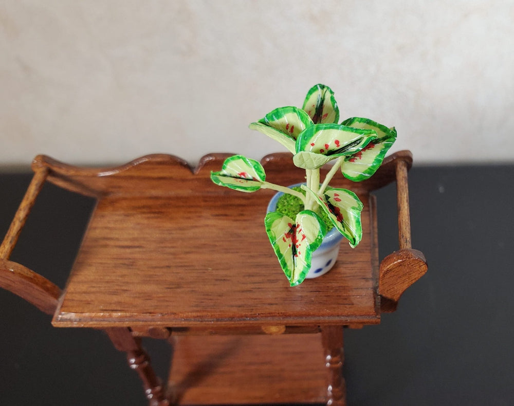 Dollhouse Caladium Plant in a Ceramic Planter 1:12 Scale Miniature Houseplant - MiniatureCrush