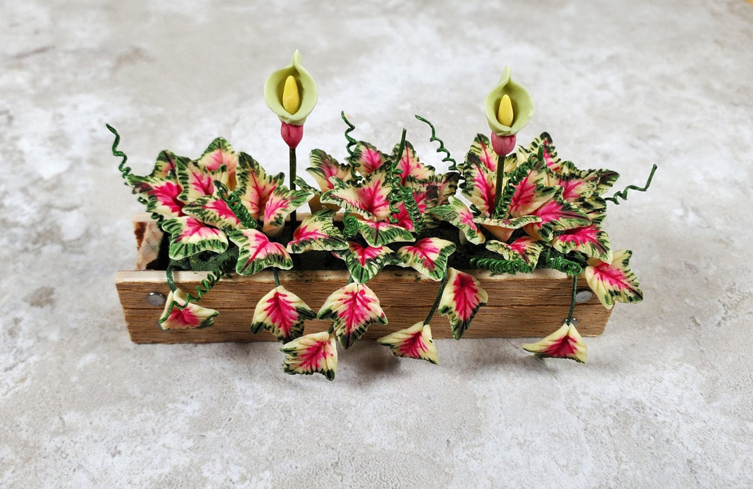 Dollhouse Caladiums in a 3.25" Wooden Window Box Planter 1:12 Scale Miniature - MiniatureCrush