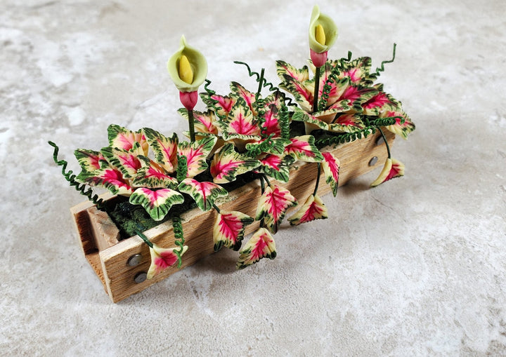 Dollhouse Caladiums in a 3.25" Wooden Window Box Planter 1:12 Scale Miniature - MiniatureCrush