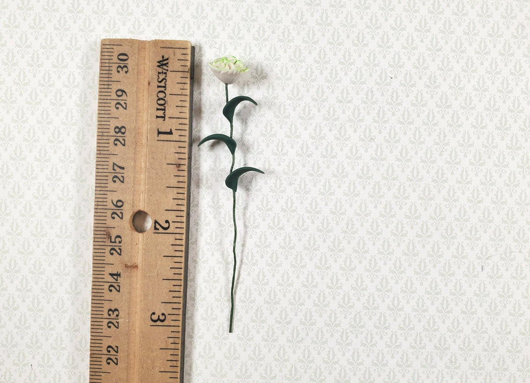 Dollhouse Carnation White and Green Single Stem 1:12 Scale Miniature - MiniatureCrush