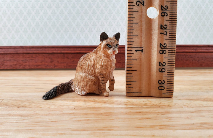 Dollhouse Cat Brown Fluffy Tail 1:12 Scale (Large) Miniature Kitty Pet - Miniature Crush