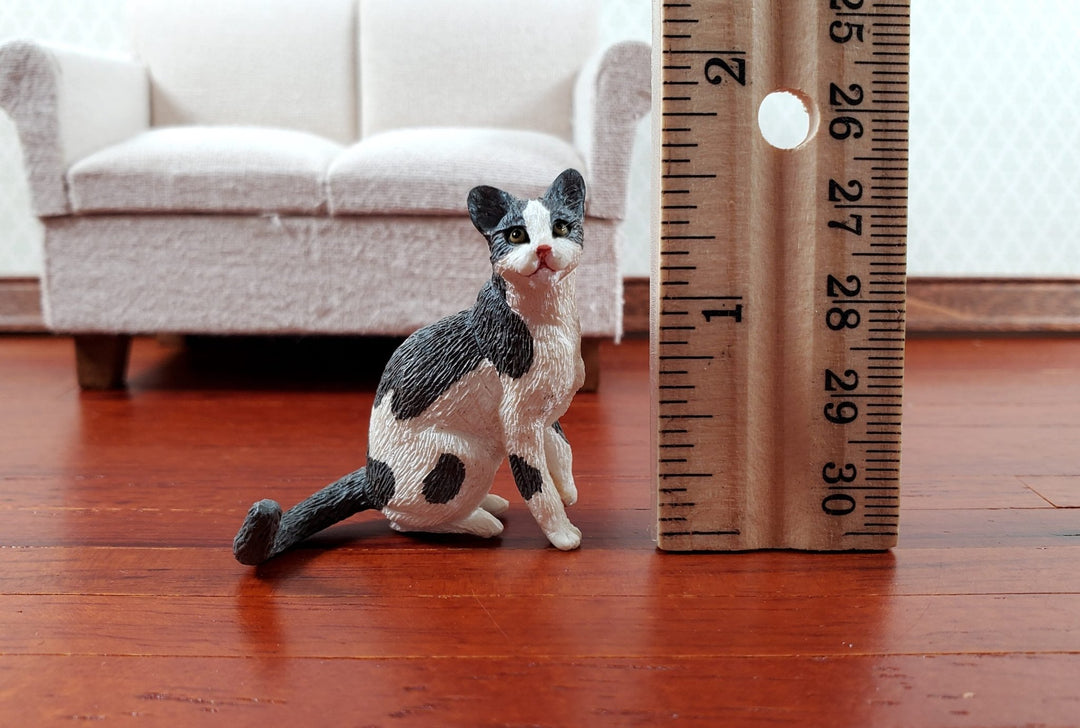 Dollhouse Cat Gray and White Sitting 1:12 Scale (Large) Miniature Kitty Pet - Miniature Crush