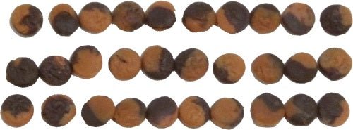 Dollhouse Chocolate Dipped Cookies 1:12 Scale Miniature Food Treats Bakery - MiniatureCrush