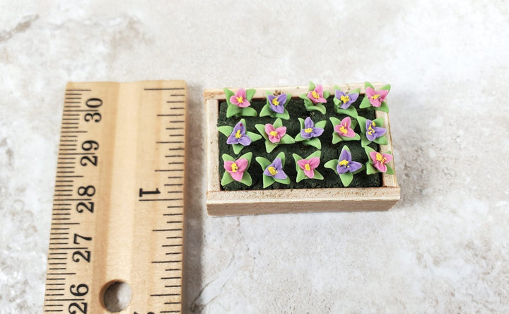 Dollhouse Colorful Seedlings in a Rectangular Wood Tray 1:12 Scale Miniature - MiniatureCrush