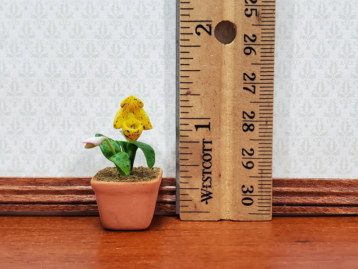 Dollhouse Cup Orchid Yellow Plant in Terra Cotta Planter 1:12 Scale Miniature - MiniatureCrush