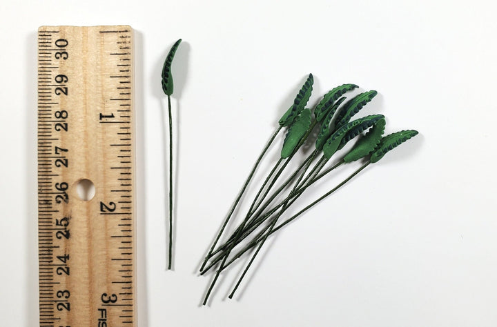 Dollhouse Dark Green Fern Leaves Long Stem Set of 10 1:12 Scale Miniature - MiniatureCrush