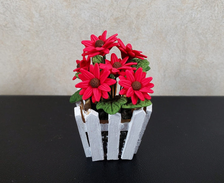 Dollhouse Dark Pink Daisies in a White Wood Picket Planter1:12 Scale Miniature - MiniatureCrush