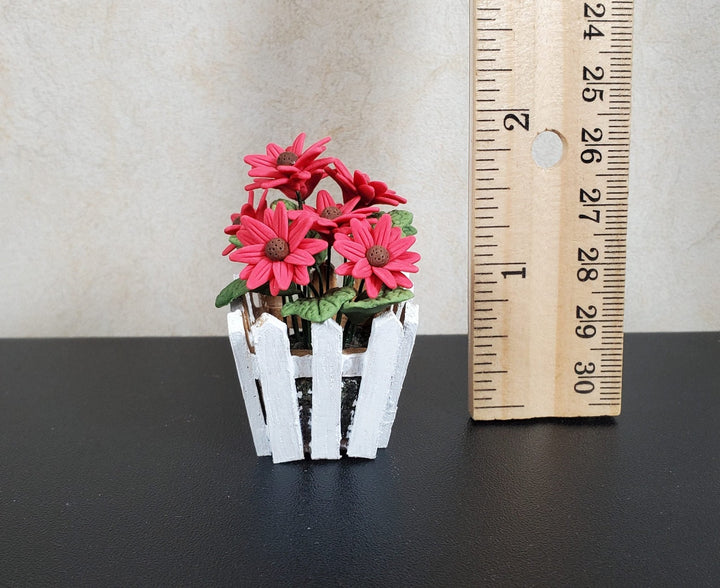 Dollhouse Dark Pink Daisies in a White Wood Picket Planter1:12 Scale Miniature - MiniatureCrush