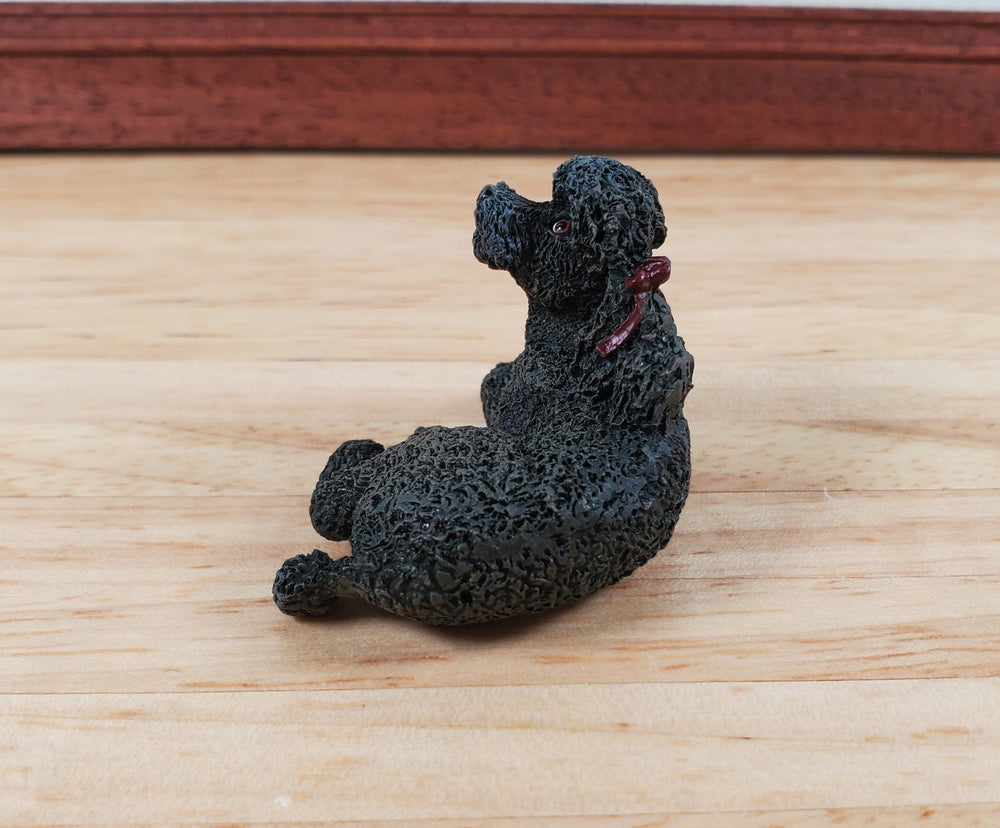 Dollhouse Dog Black Poodle Laying Down Head Up 1:12 Scale Miniature Animal - Miniature Crush