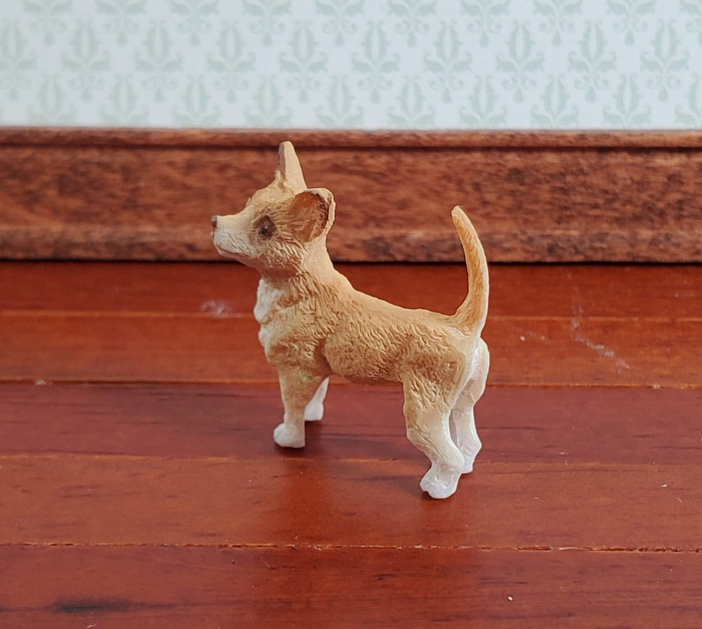 Dollhouse Dog Chihuahua 1:12 Scale Miniature Pet Animal by Falcon - Miniature Crush