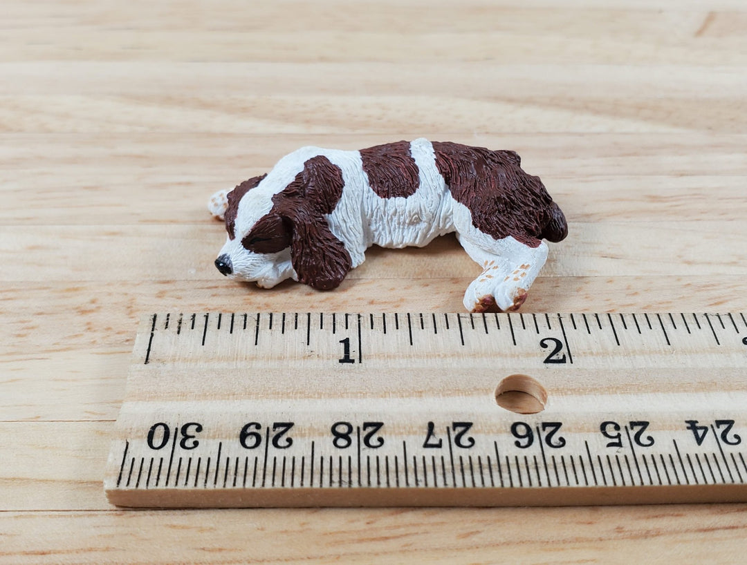 Dollhouse Dog English Cocker Spaniel Sleeping 1:12 Scale Miniature Animal - Miniature Crush