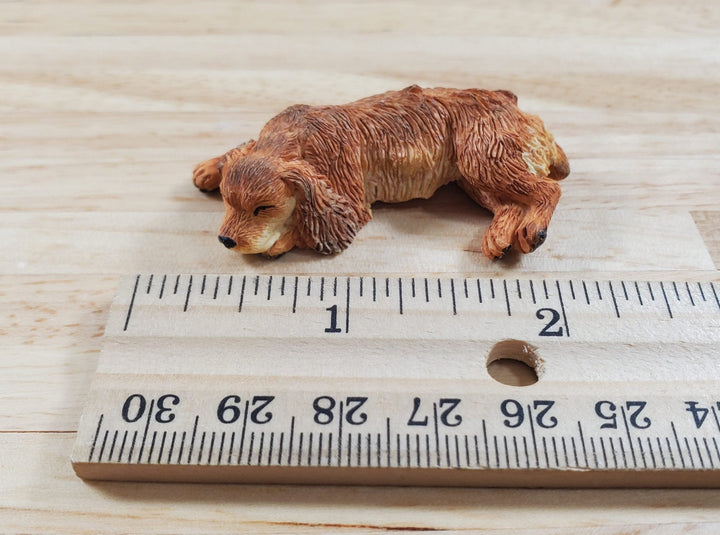 Dollhouse Dog English Cocker Spaniel Sleeping Brown 1:12 Scale Miniature Animal - MiniatureCrush