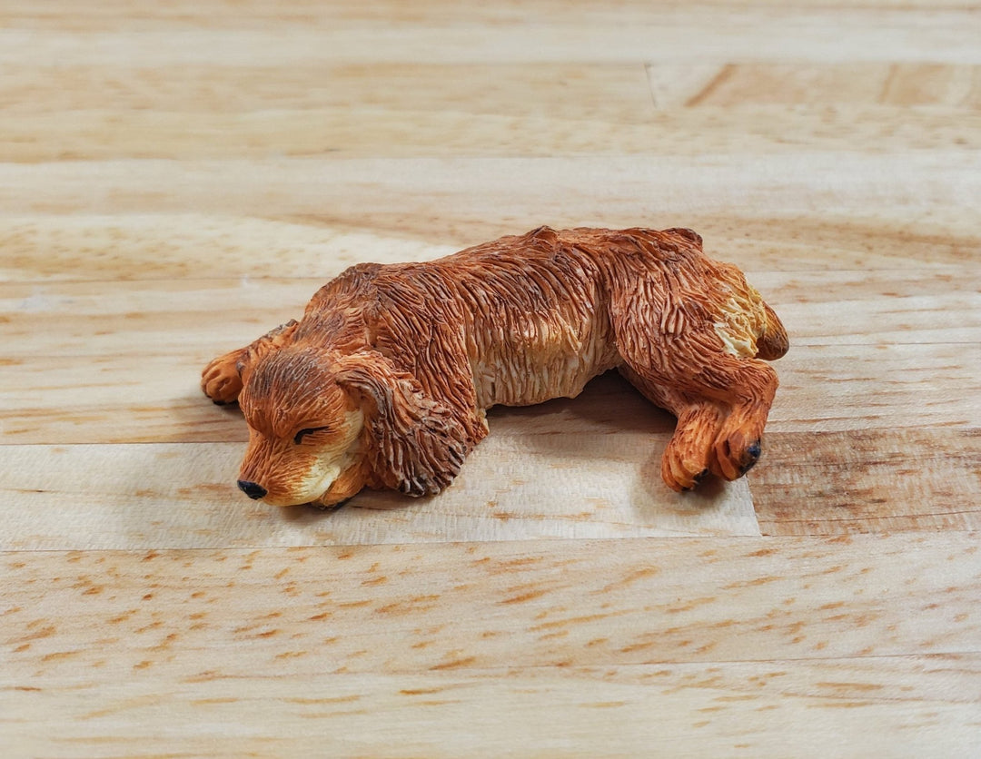 Dollhouse Dog English Cocker Spaniel Sleeping Brown 1:12 Scale Miniature Animal - MiniatureCrush