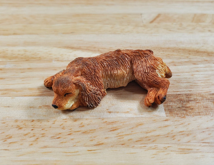 Dollhouse Dog English Cocker Spaniel Sleeping Brown 1:12 Scale Miniature Animal - MiniatureCrush