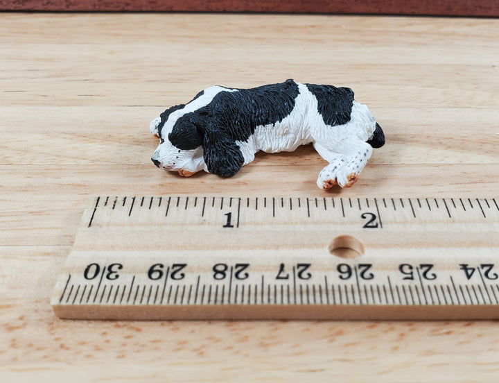 Dollhouse Dog English Springer Spaniel Sleeping 1:12 Scale Miniature Animal - Miniature Crush