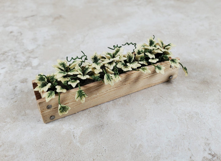 Dollhouse English Ivy in a 3.25" Wooden Window Box Planter 1:12 Scale Miniature - MiniatureCrush