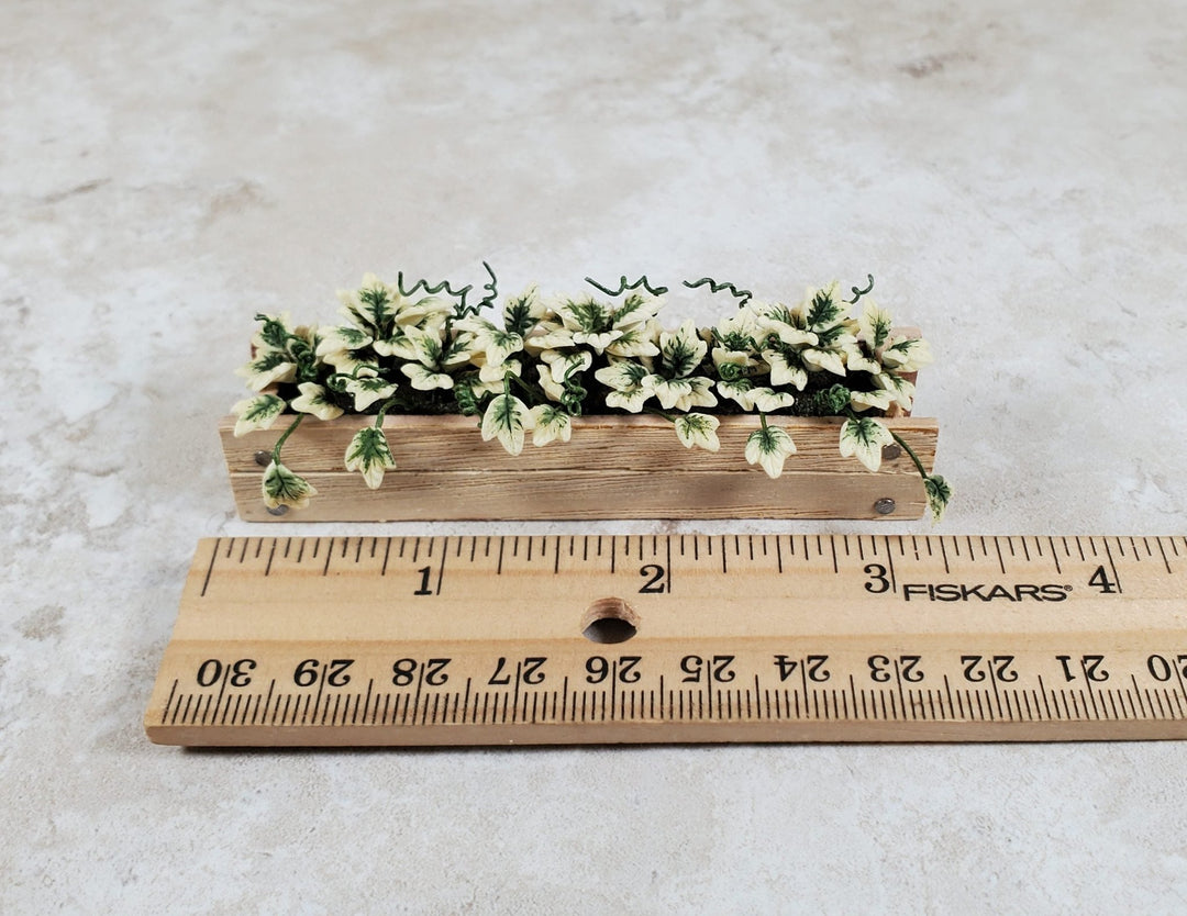Dollhouse English Ivy in a 3.25" Wooden Window Box Planter 1:12 Scale Miniature - MiniatureCrush