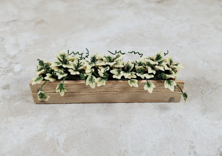 Dollhouse English Ivy in a 3.25" Wooden Window Box Planter 1:12 Scale Miniature - MiniatureCrush