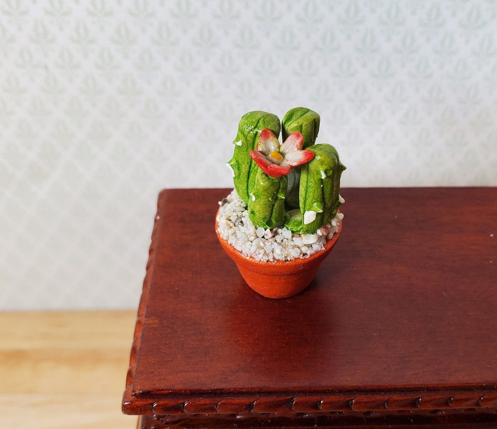 Dollhouse Flowering Cactus Plant in a Terra Cotta Planter 1:12 Scale Miniature - MiniatureCrush