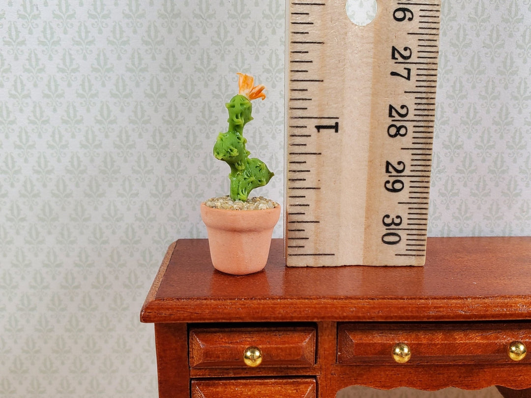 Dollhouse Flowering Cactus Plant in a Terra Cotta Pot 1:12 Scale Miniature - MiniatureCrush