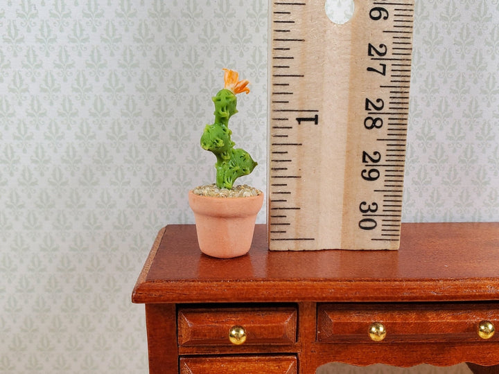 Dollhouse Flowering Cactus Plant in a Terra Cotta Pot 1:12 Scale Miniature - MiniatureCrush