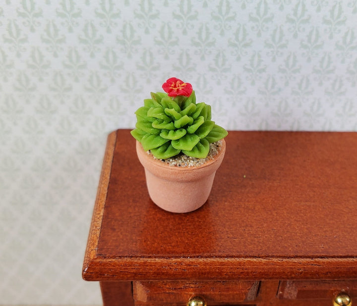 Dollhouse Flowering Cactus Plant in a Terra Cotta Pot 1:12 Scale Miniature - MiniatureCrush