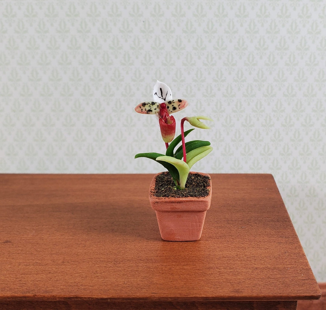 Dollhouse Flowering Plant Cup Orchid in Terra Cotta Planter 1:12 Scale Miniature - MiniatureCrush