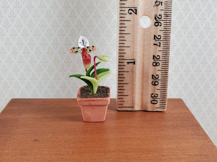 Dollhouse Flowering Plant Cup Orchid in Terra Cotta Planter 1:12 Scale Miniature - MiniatureCrush