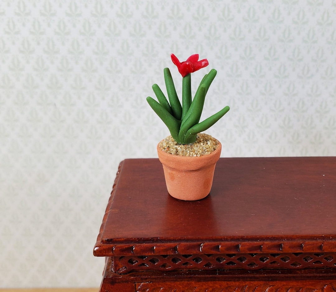 spiky plant pot Dollhouse Flowering Spiky Cactus Plant in a Terra Cotta Pot 1:12 Scale Miniature