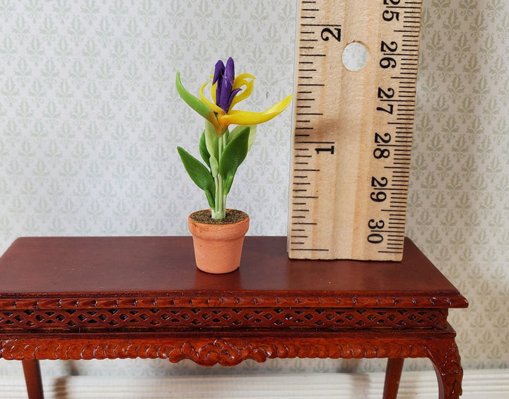 Dollhouse Flowering Tropical Plant in Terra Cotta Pot 1:12 Scale Miniature - MiniatureCrush